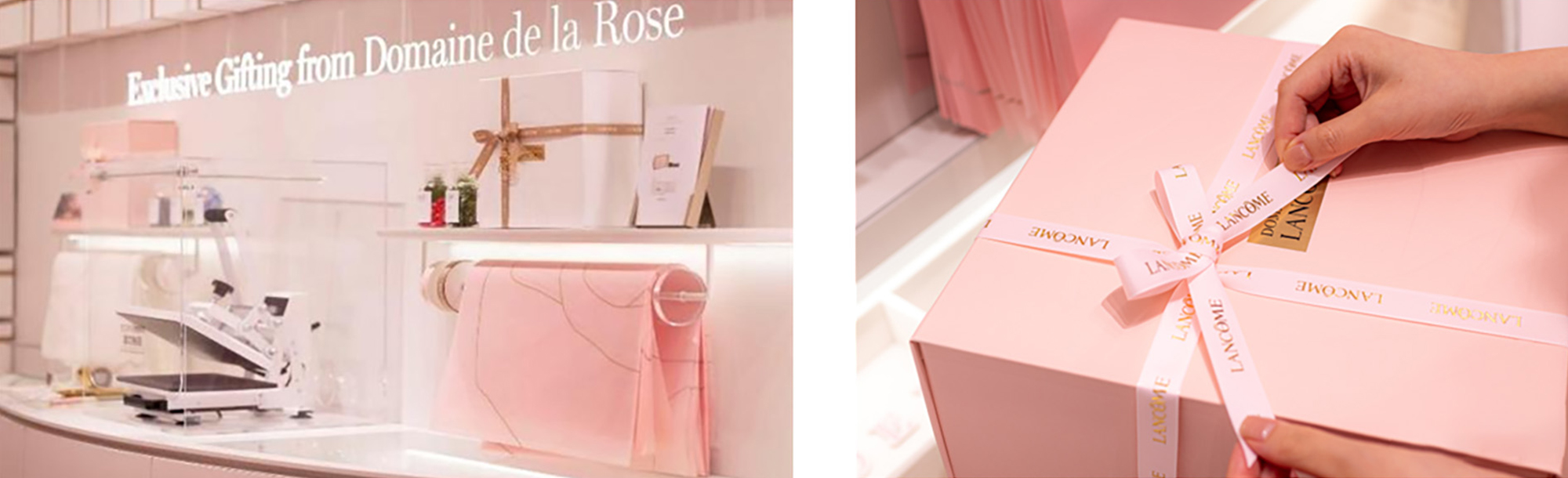 Bringing a Rose Manor from Grasse to Hainan (8)